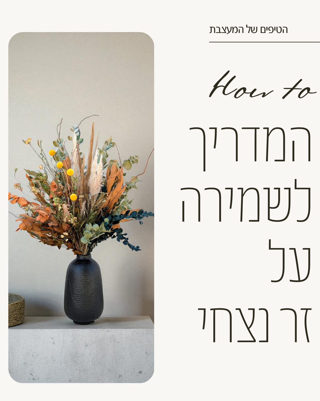המדריך השלם לשמירה על זר נצחי