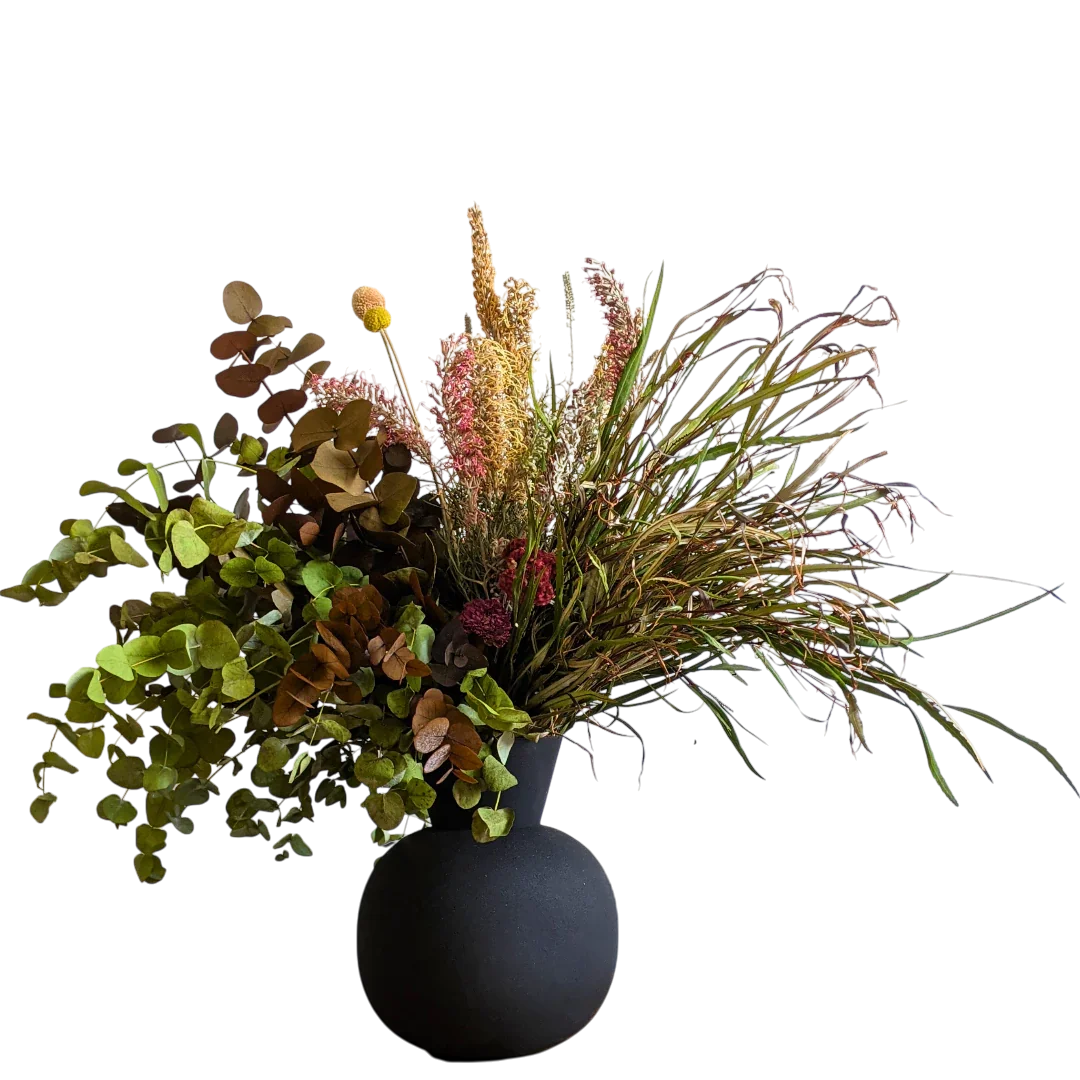 סידור צל בערבה