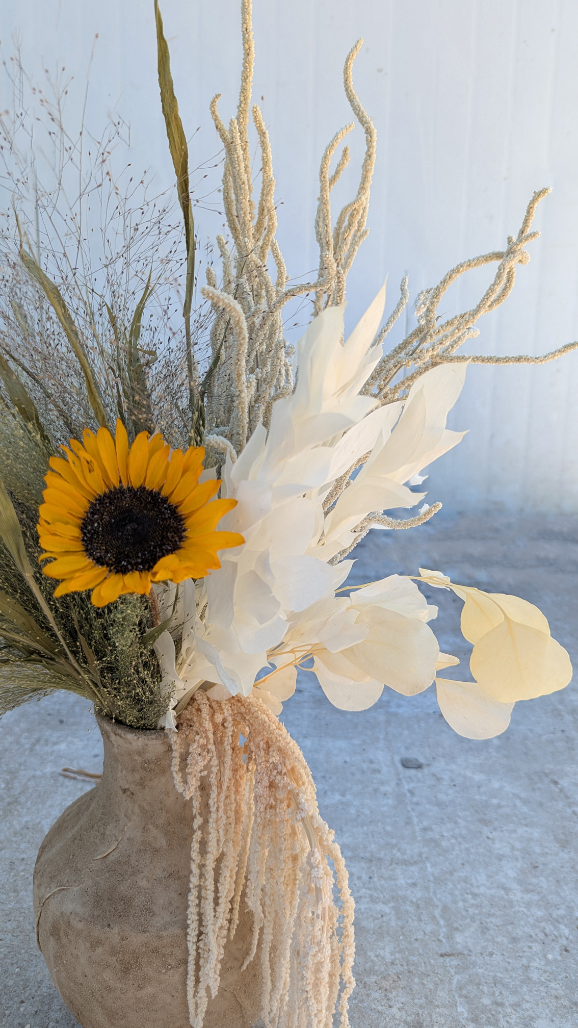 סט פריחת שנה