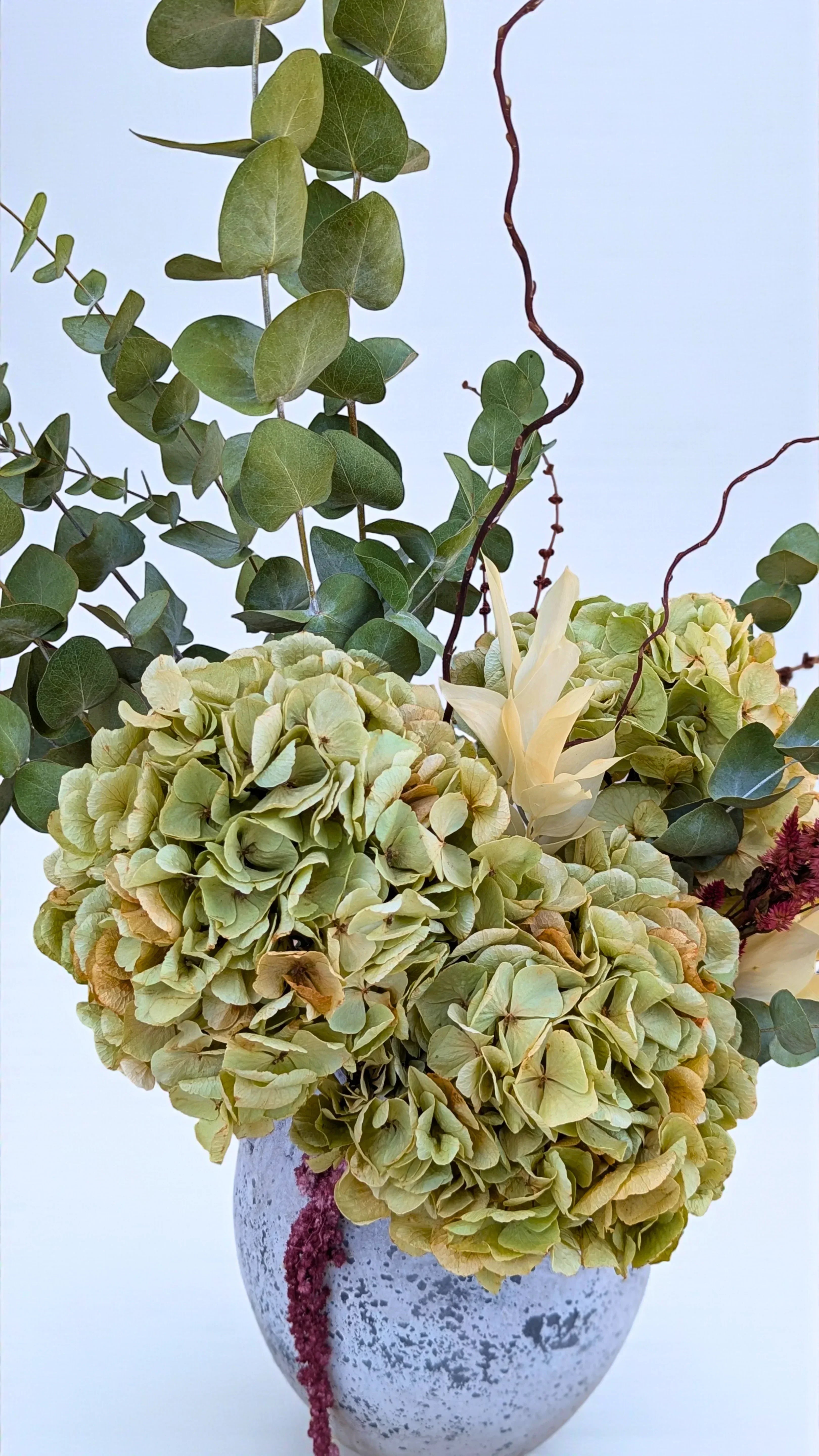 סט נשימה נצחית