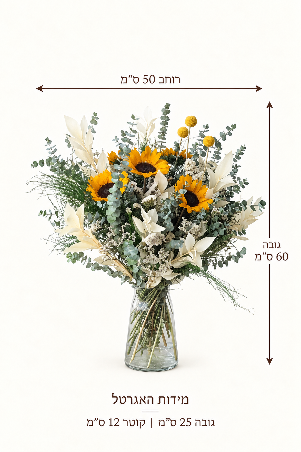 סט אהבת חמניות לבנה — מדריך מידות