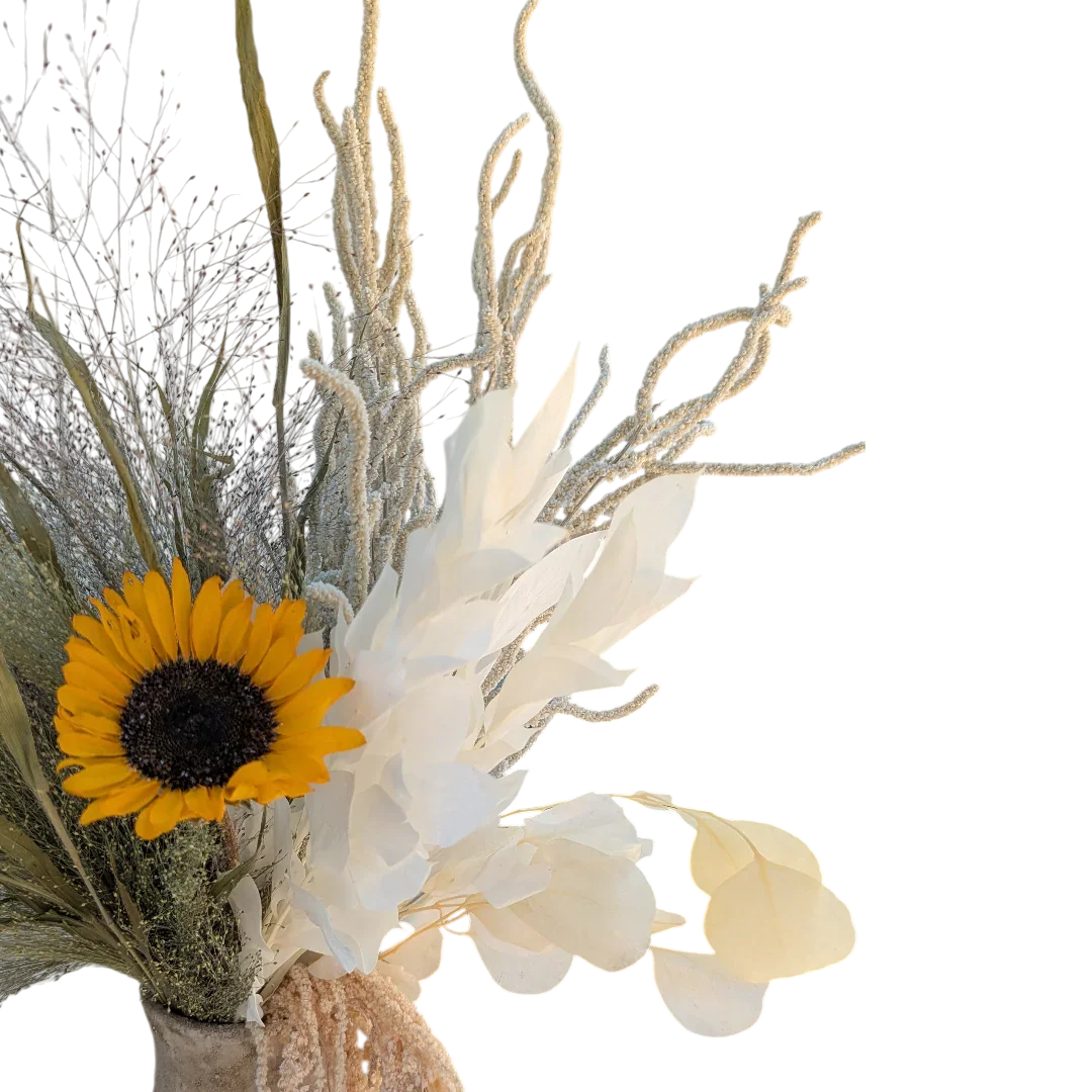 סט פריחת שנה