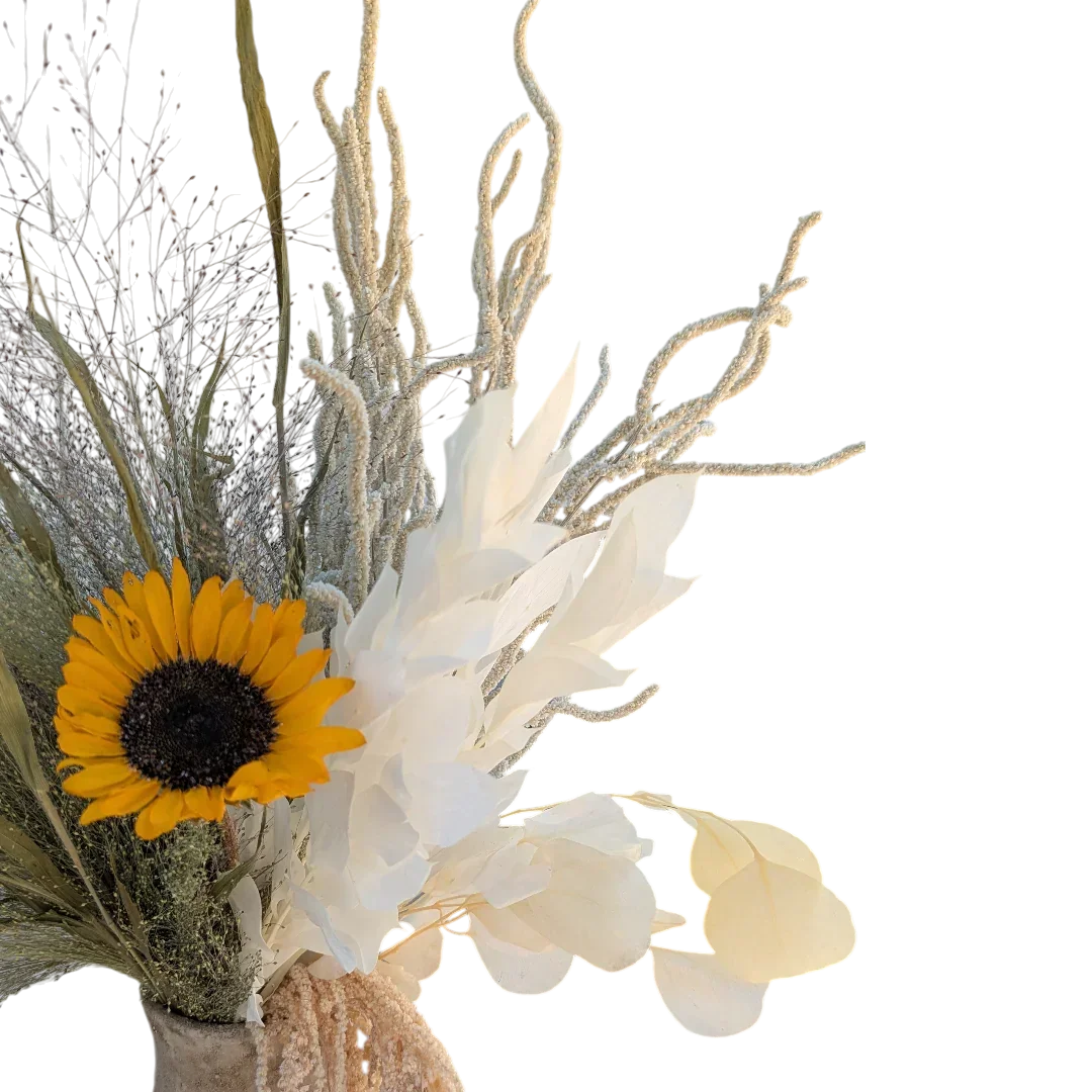 סט פריחת שנה