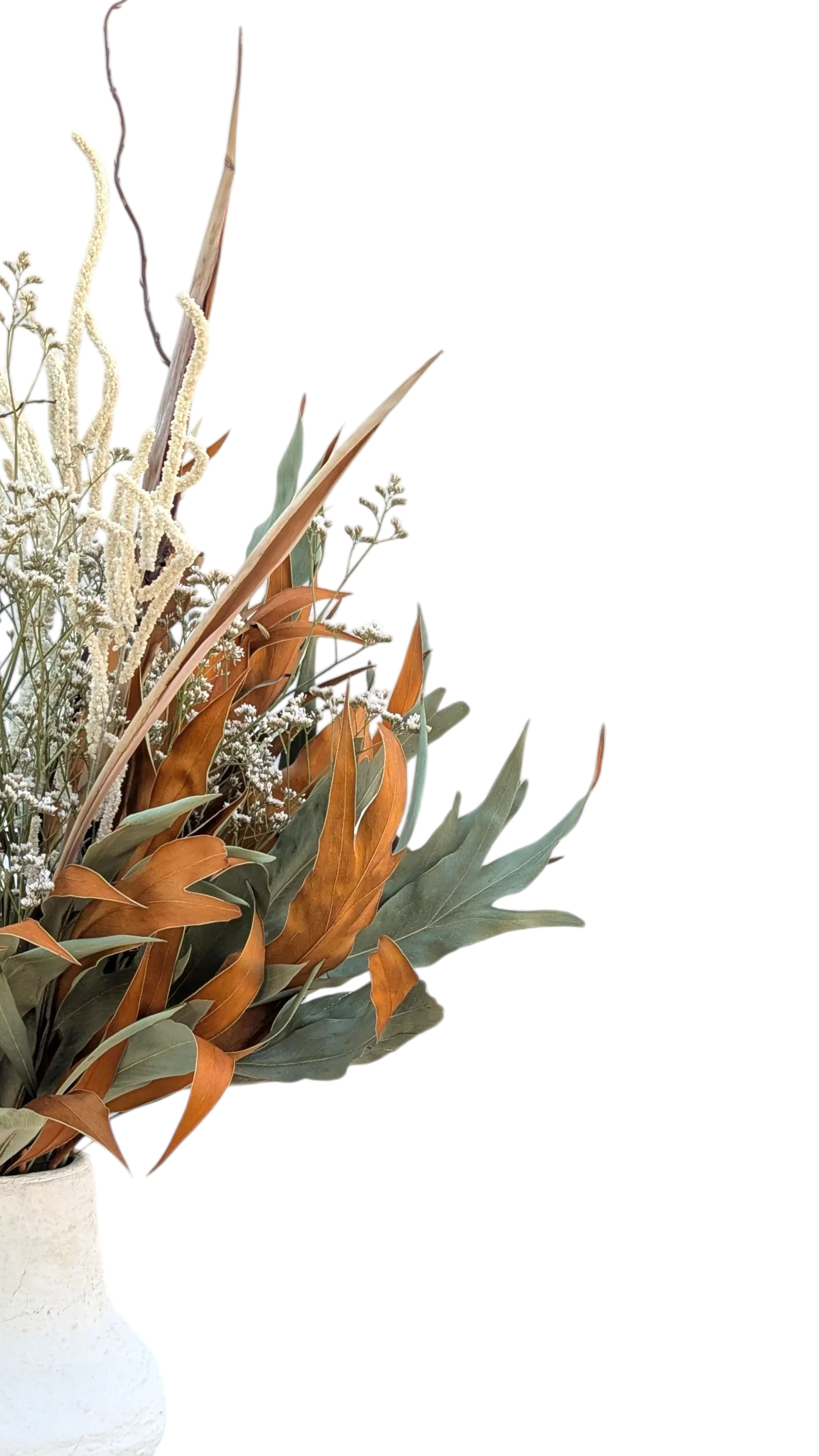 סט ברכת הסתיו