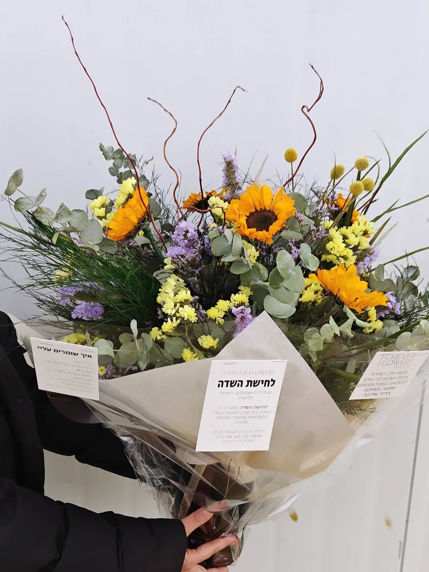 סידור חמניות