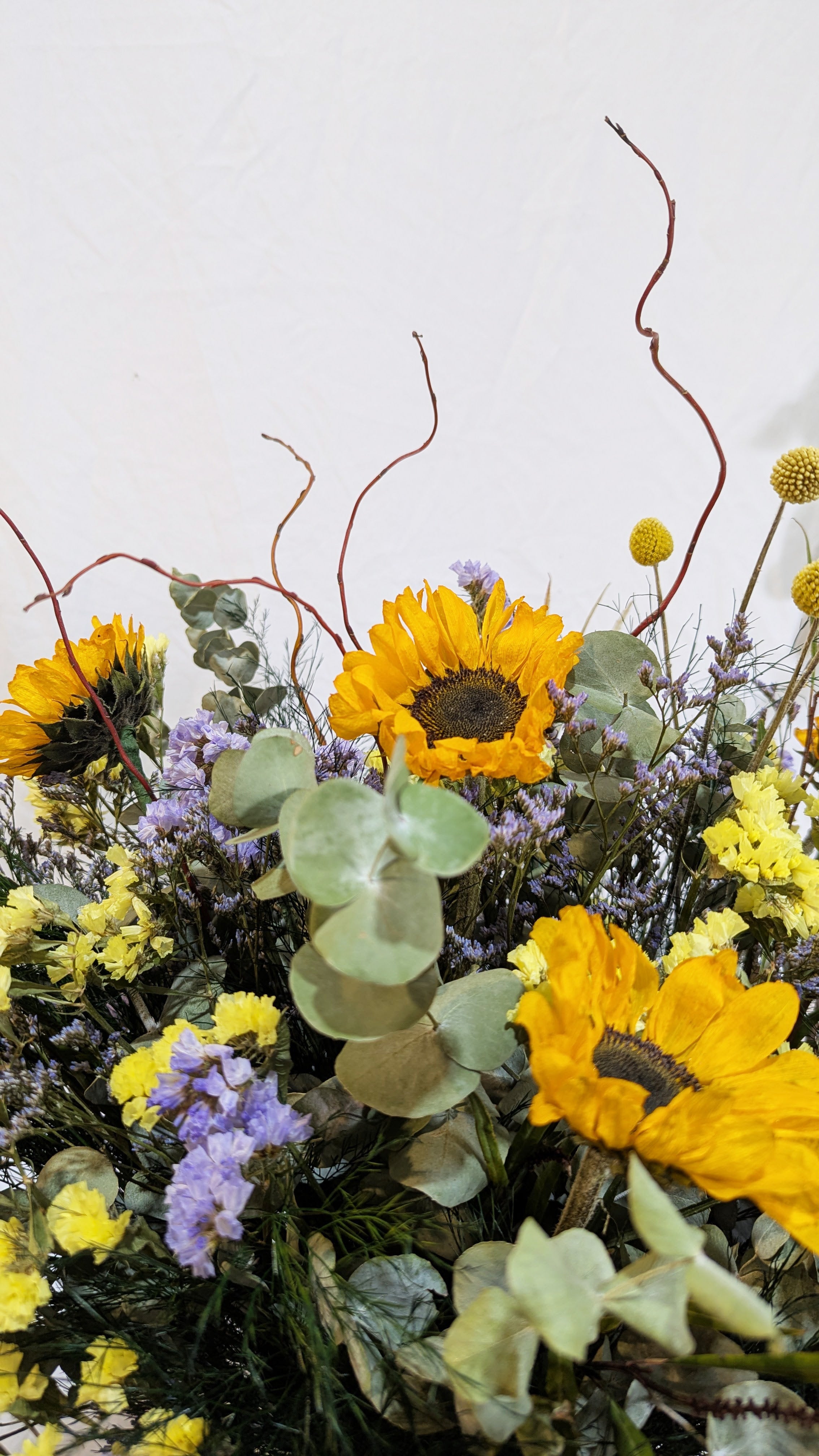 סידור חמניות