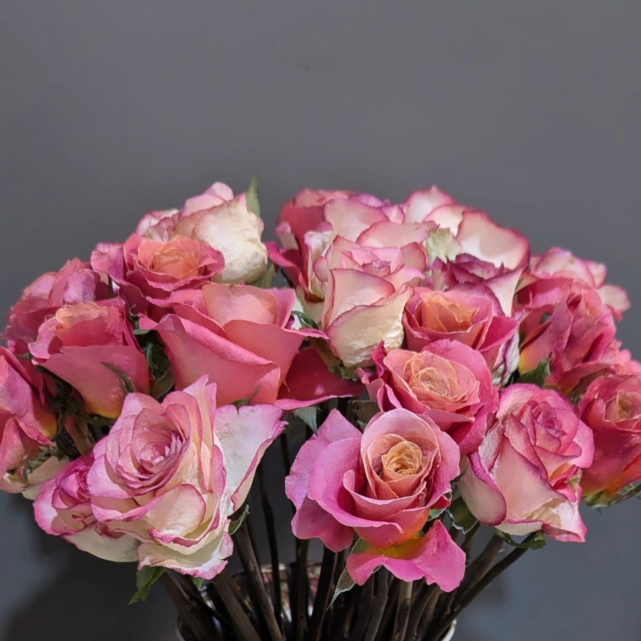 סידור ורדים משומרים