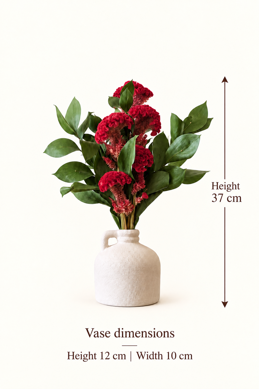 English size guide. Height. 37 cm. Vase dimensions. Height 12 cm | Width 10 cm