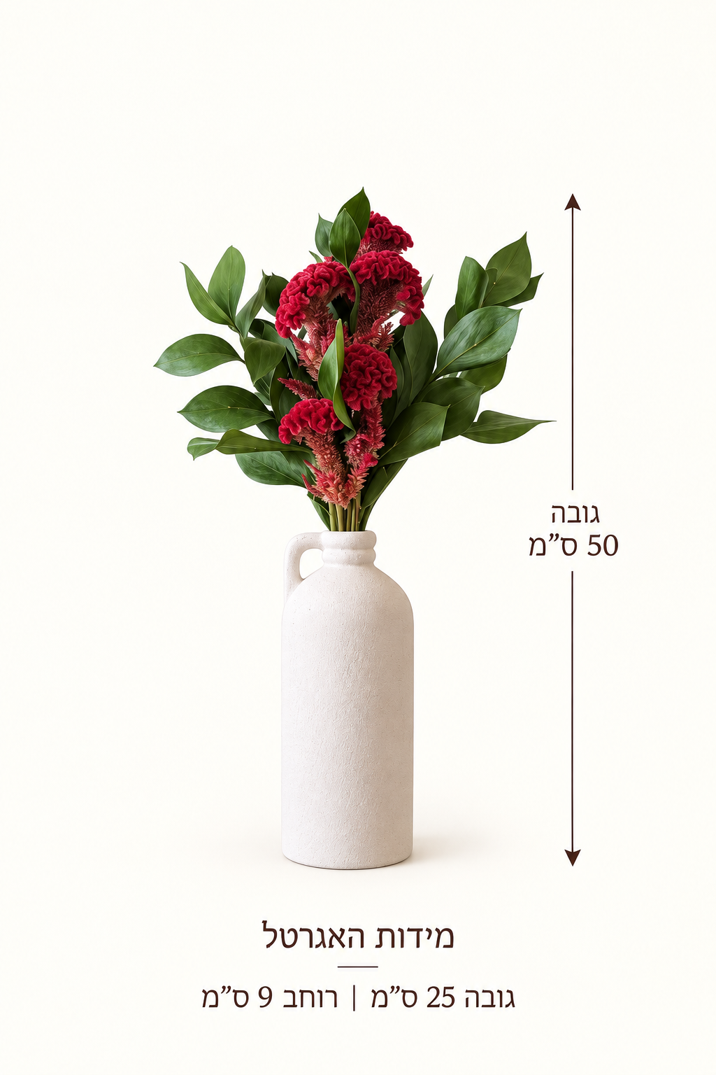 מארז מתנה זוהר, מדריך מידות