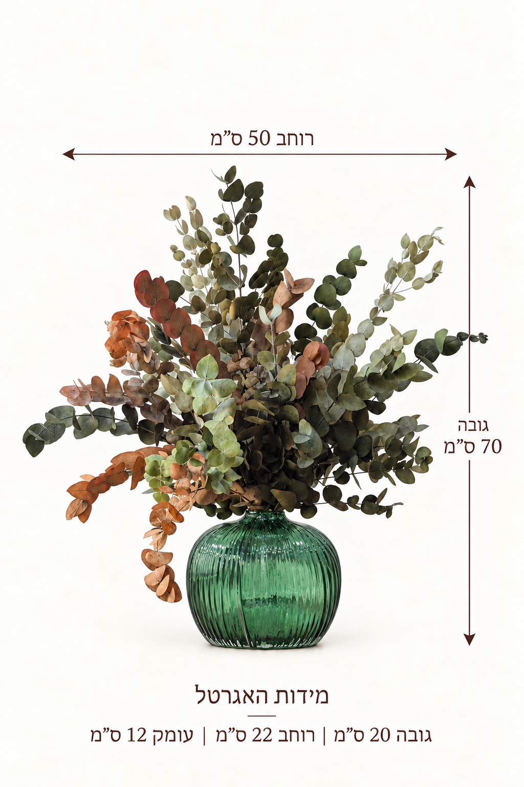 סט אדמה ירוקה — מדריך מידות
