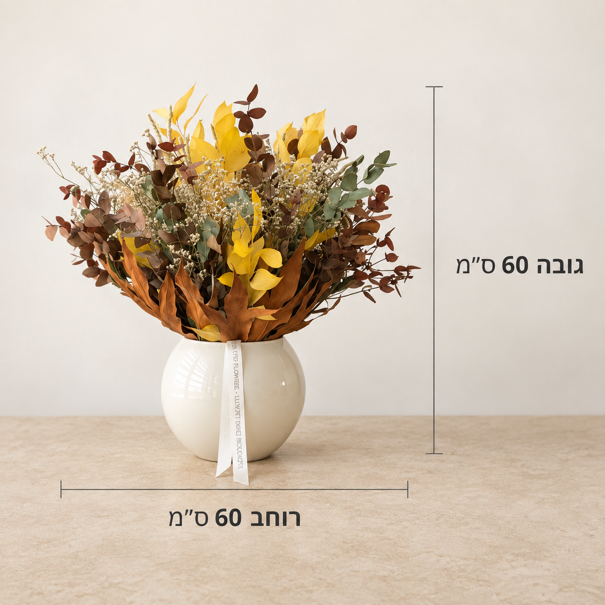 מידות סט אלון: גובה 60 ס״מ ורוחב 60 ס״מ