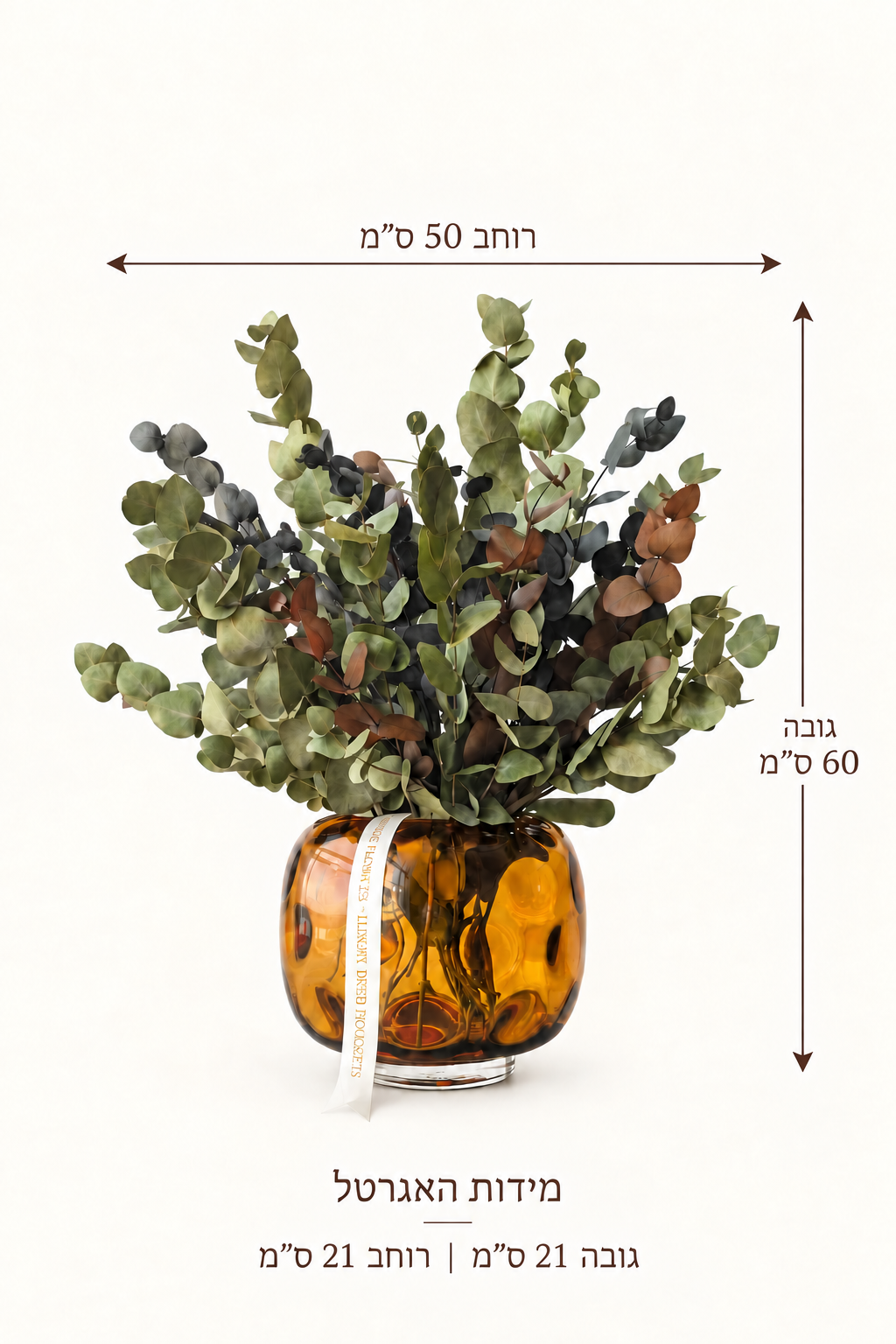 סט דבש ועלה — מדריך מידות