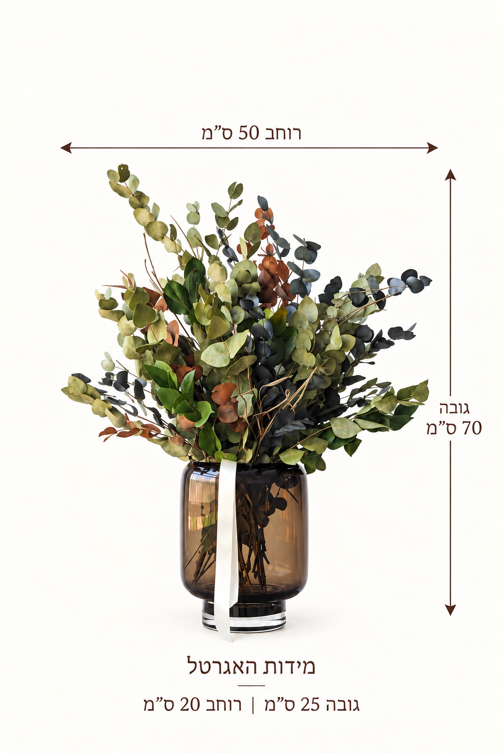 סט צל — מדריך מידות